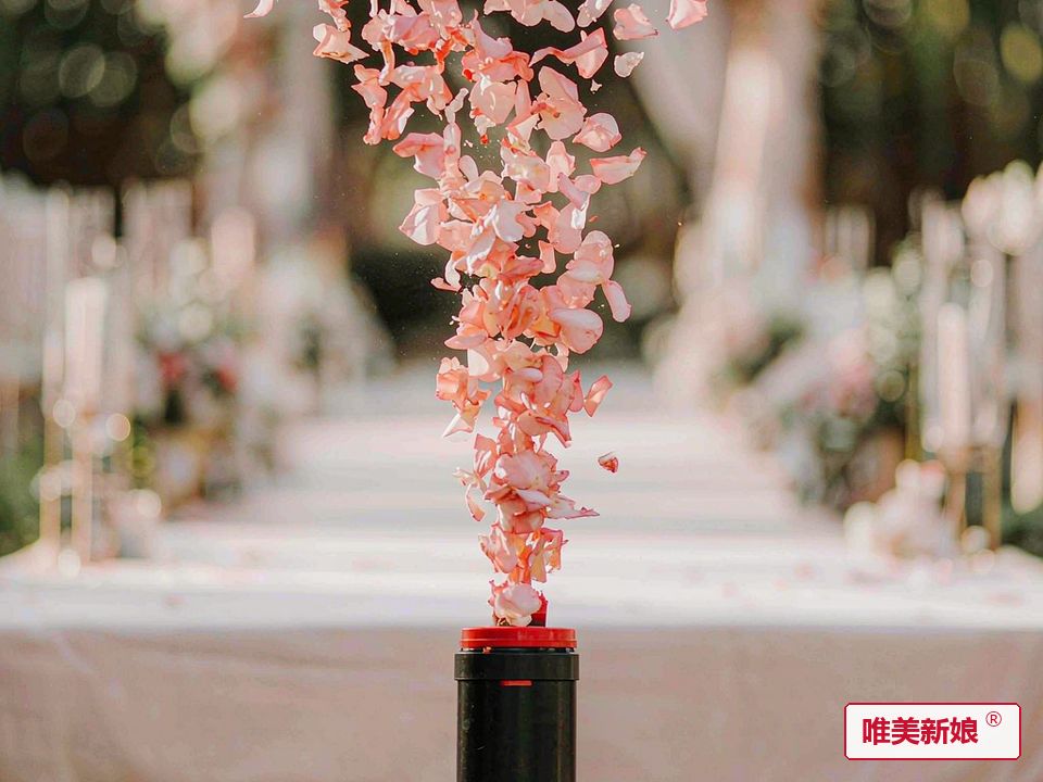 花瓣喷射机